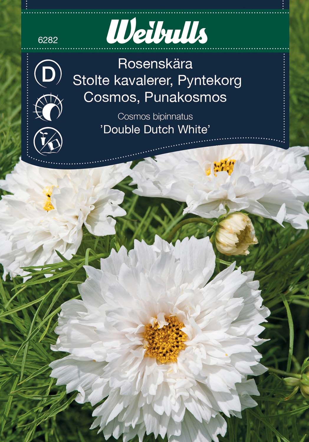 Rosenskära Double Dutch W Whitee