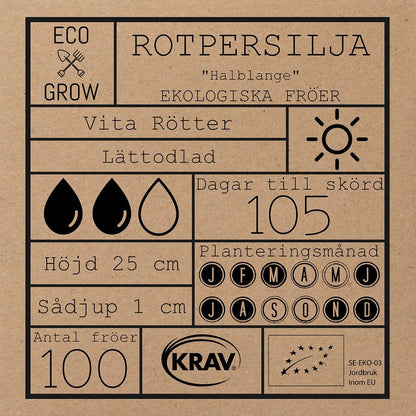 Rotpersilja