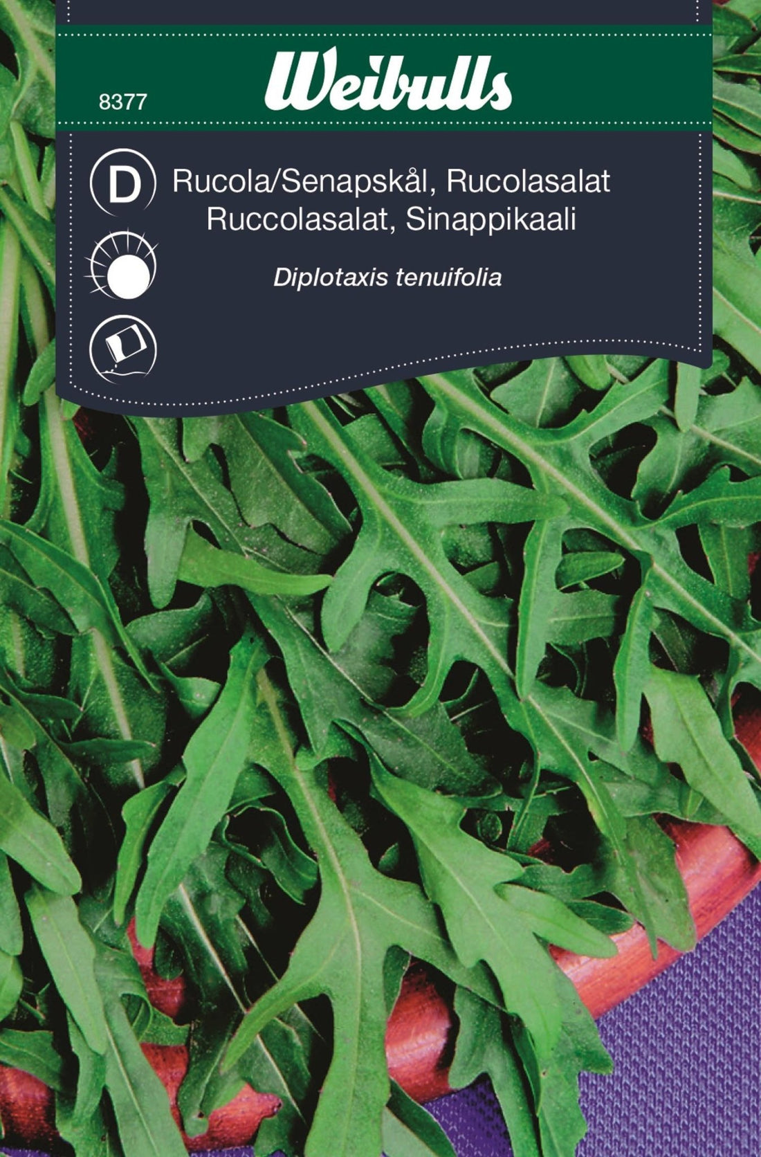 Ruccola, sandsenap Flerårig