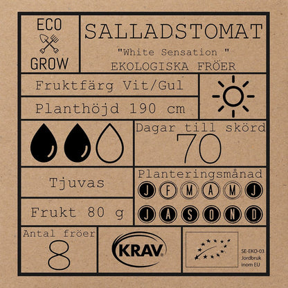 Salladstomat