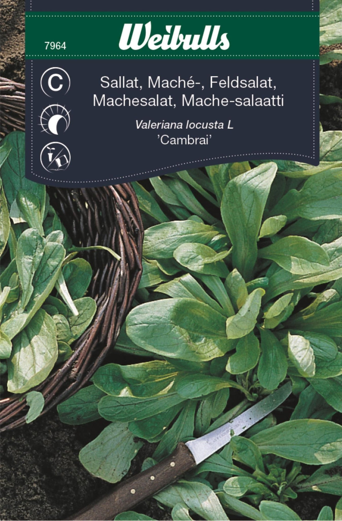 Sallat, mache