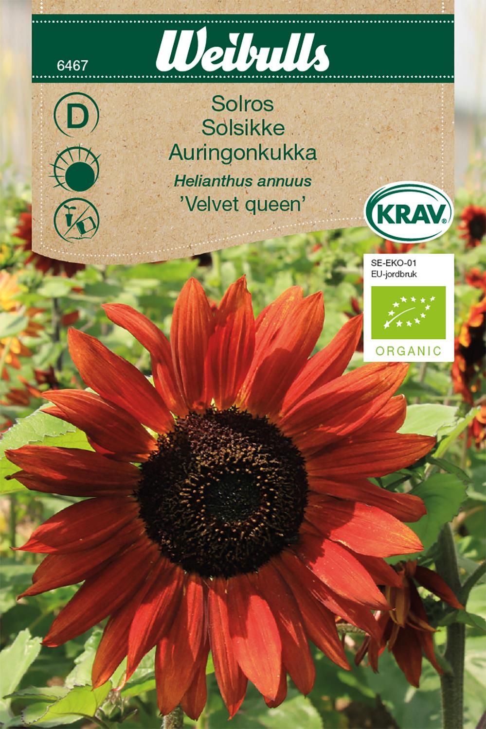 Solros KRAV