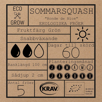 Sommarsquash