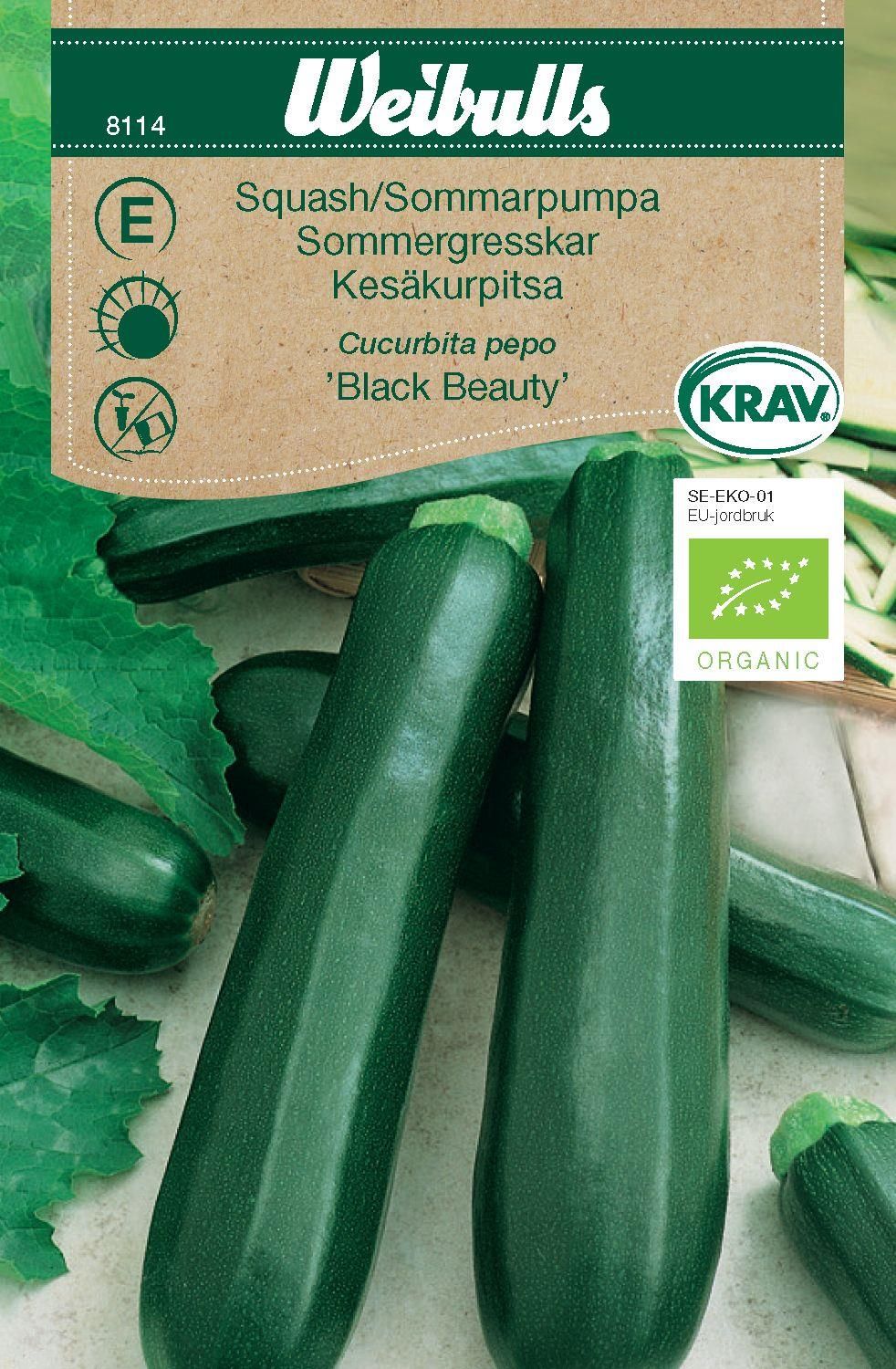 Squash KRAV