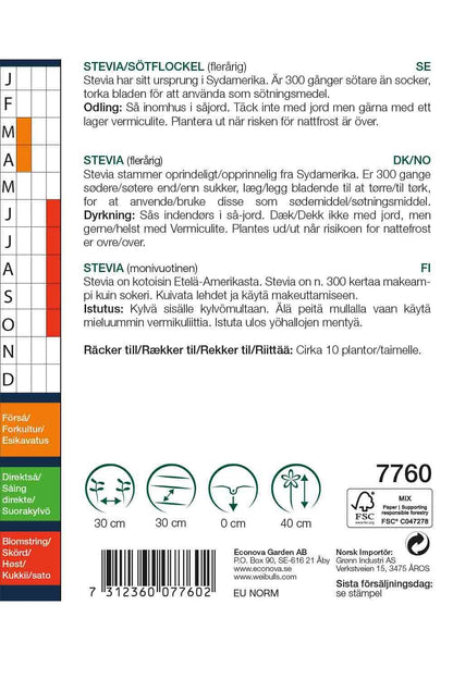 Stevia Stevia rebaudiana