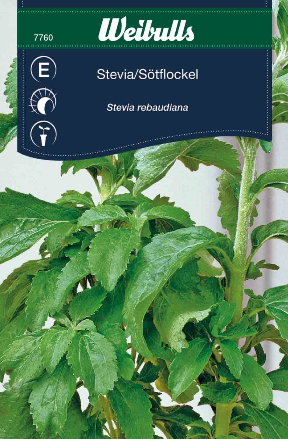 Stevia Stevia rebaudiana