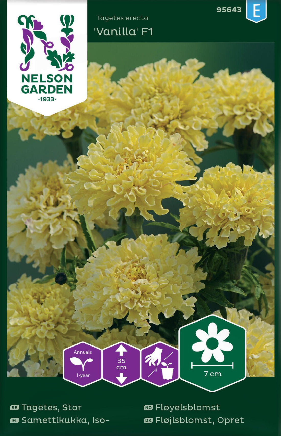Stor tagetes