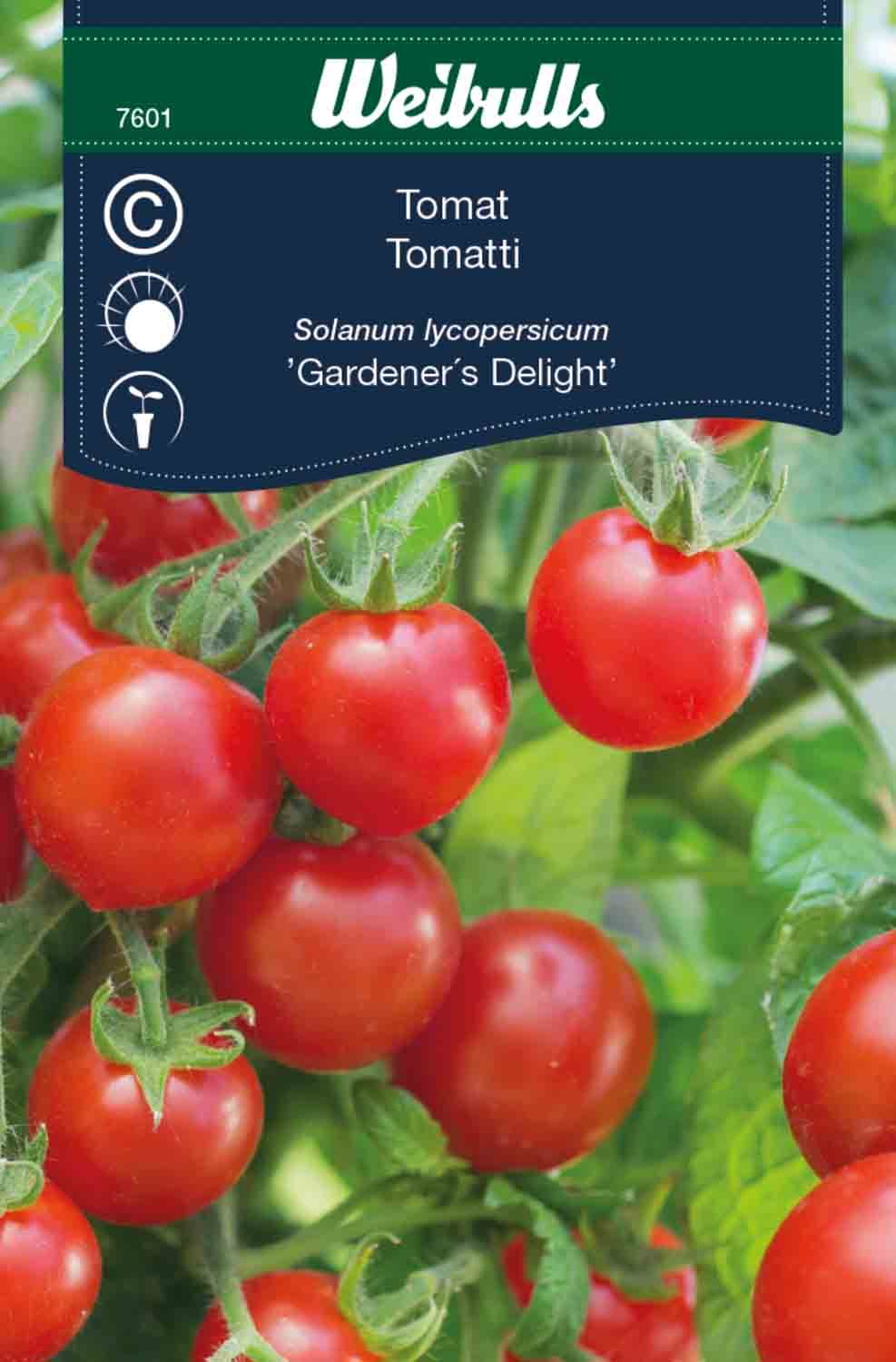 Tomat, hög