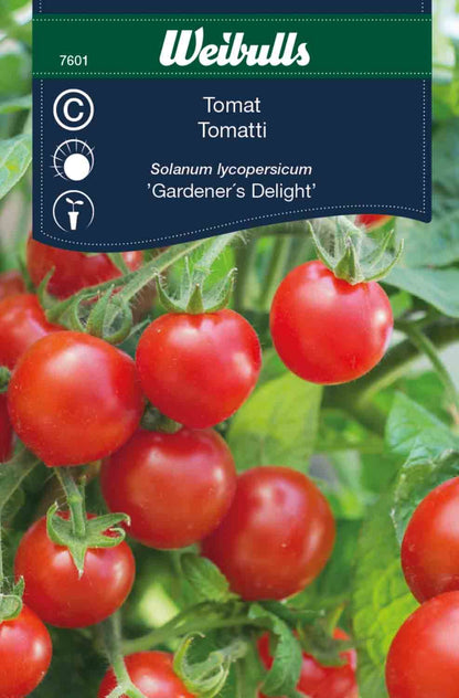 Tomat, hög