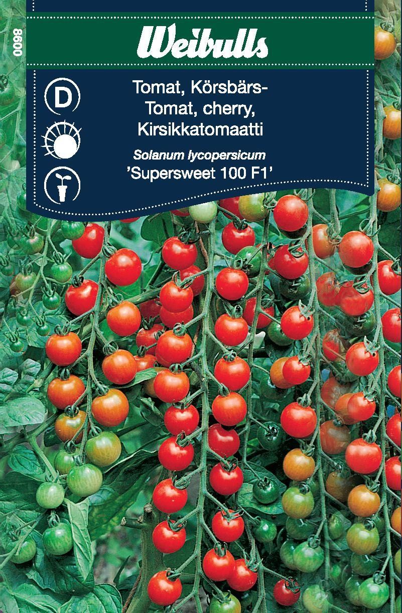 Tomat, körsbärs Supersweet