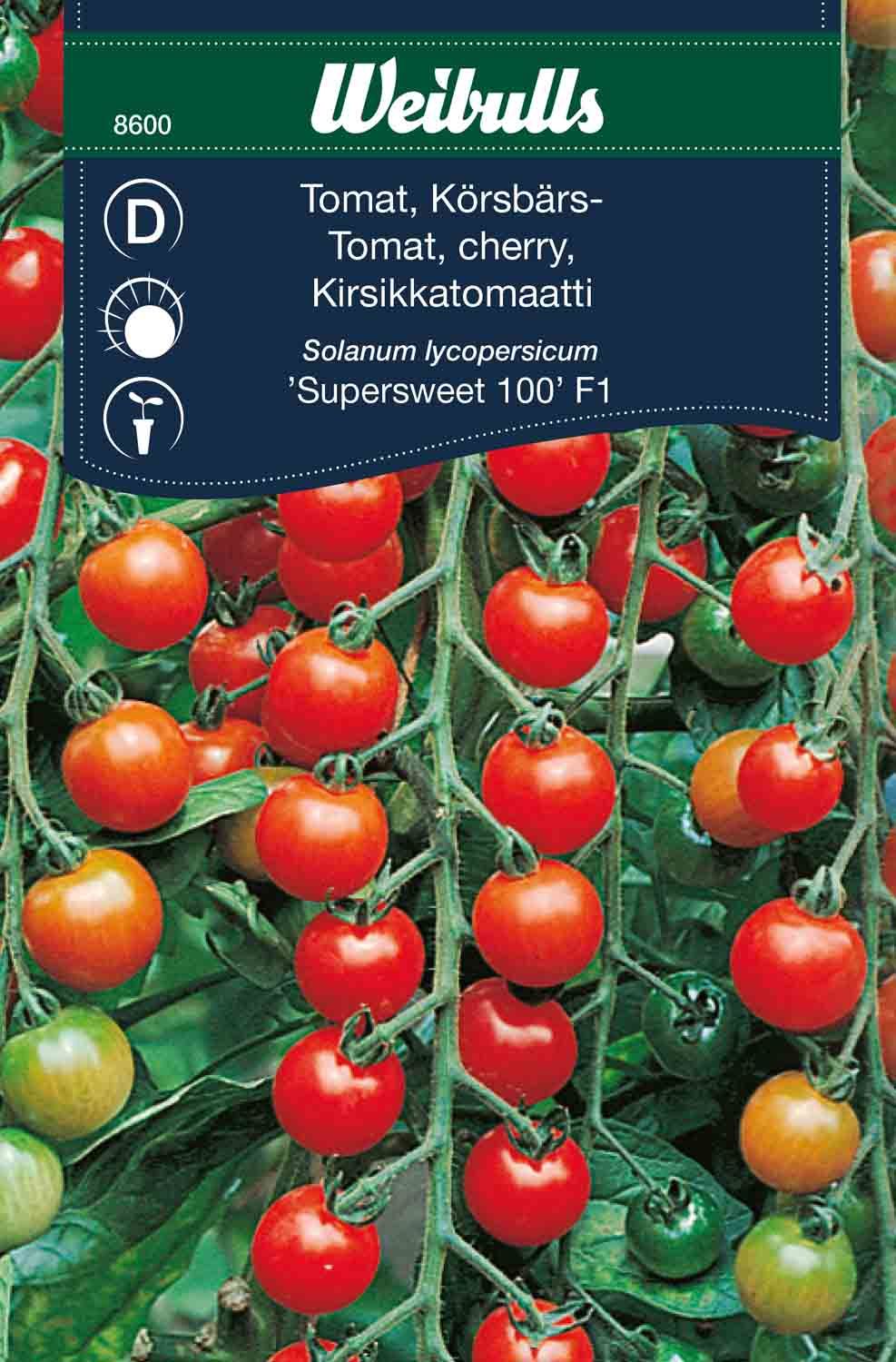 Tomat, körsbärs Supersweet