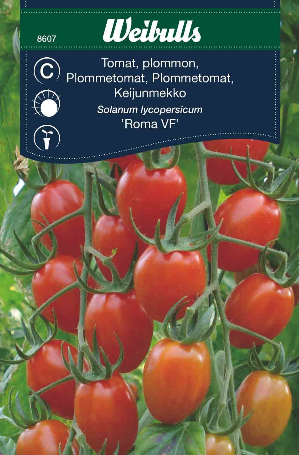 Tomat, Roma VF