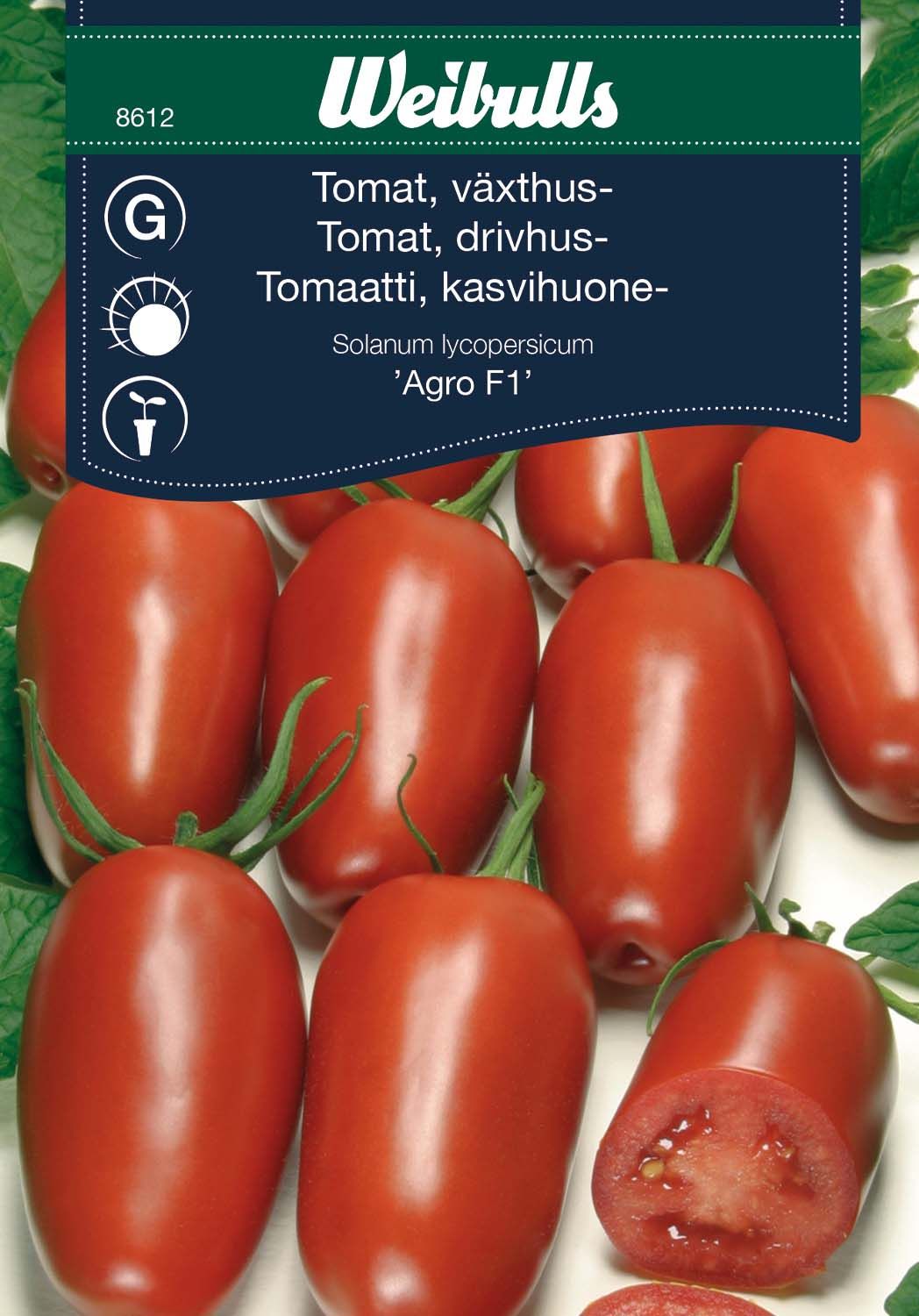 Tomat, växthus-