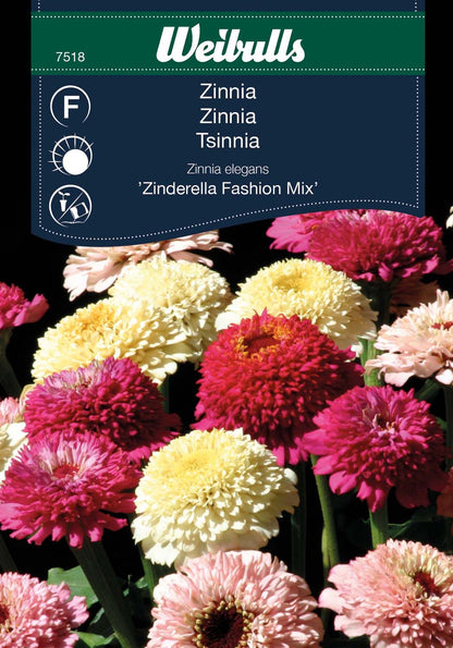 Zinnia elegans Fashion Mi